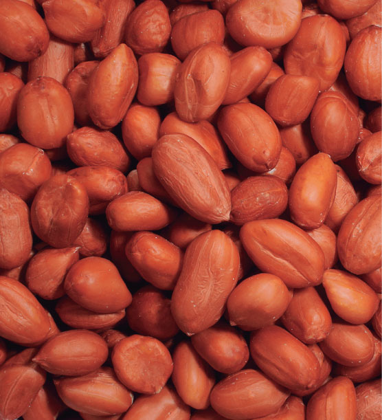 Productos e ingredientes a granel