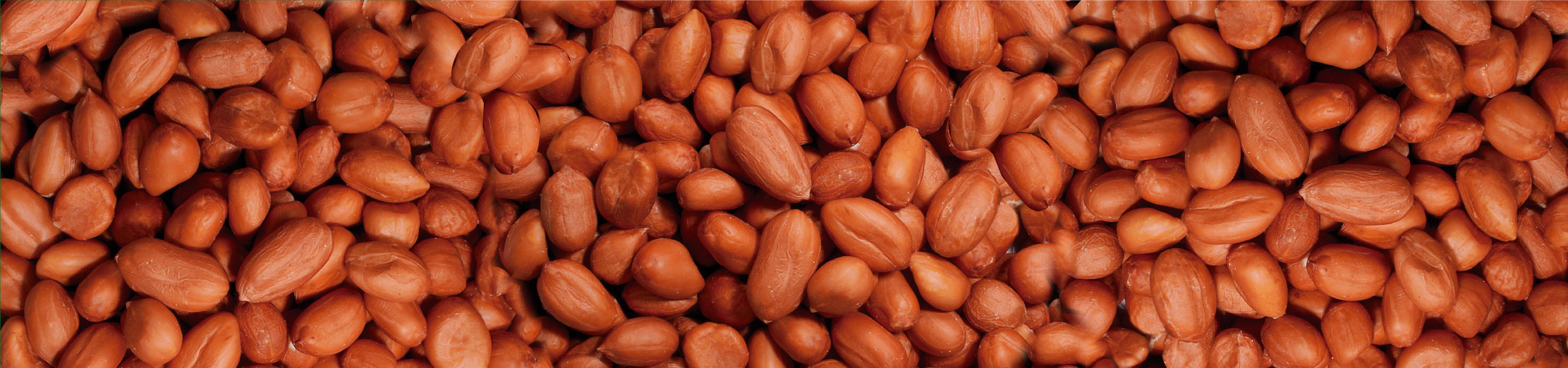 La mejor y más exquisita variedad de frutos secos. Semillas y Botanas de México.